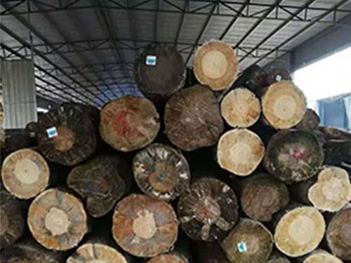 云南進口松木價格